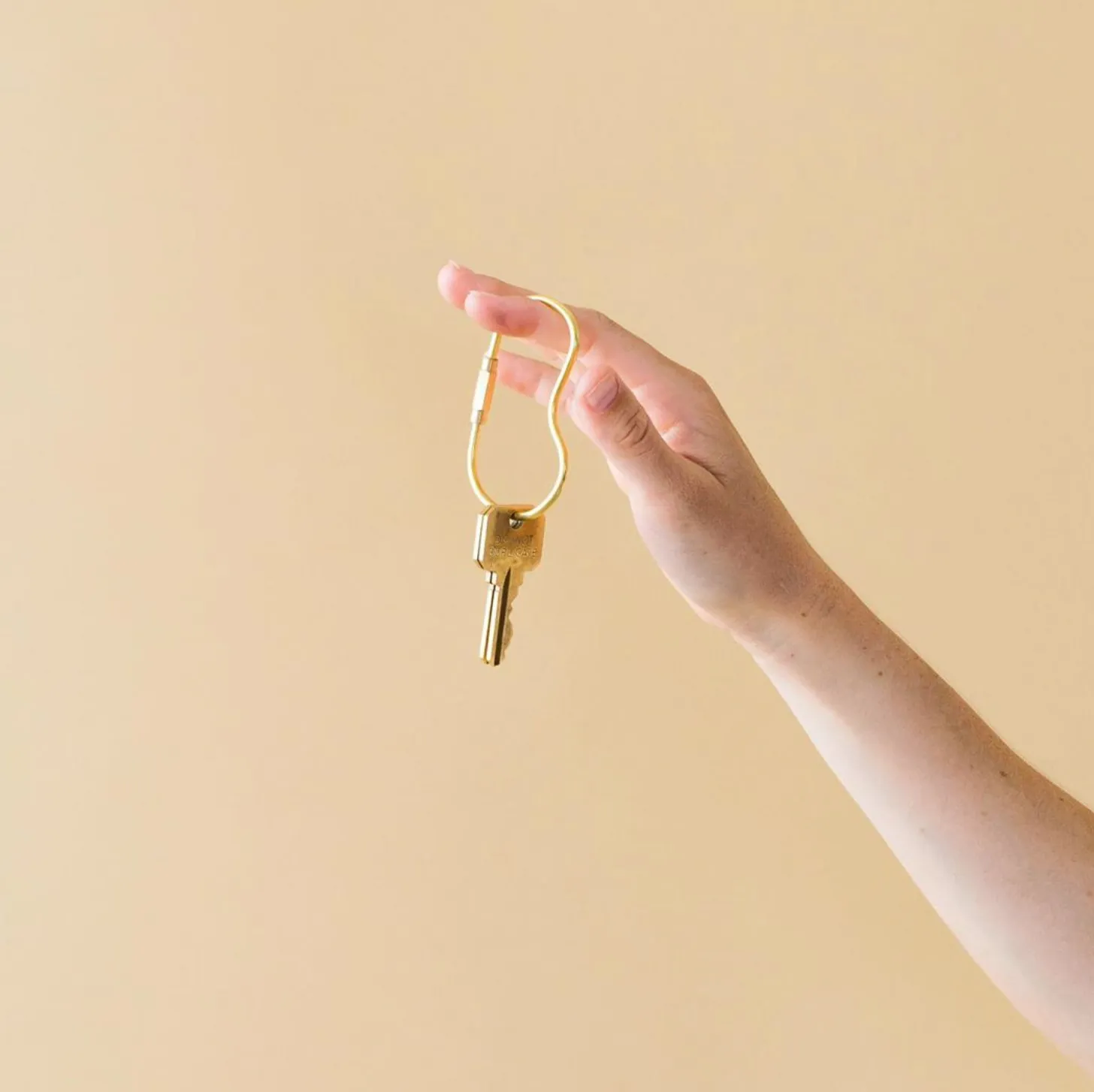 Amoeba Key Rings