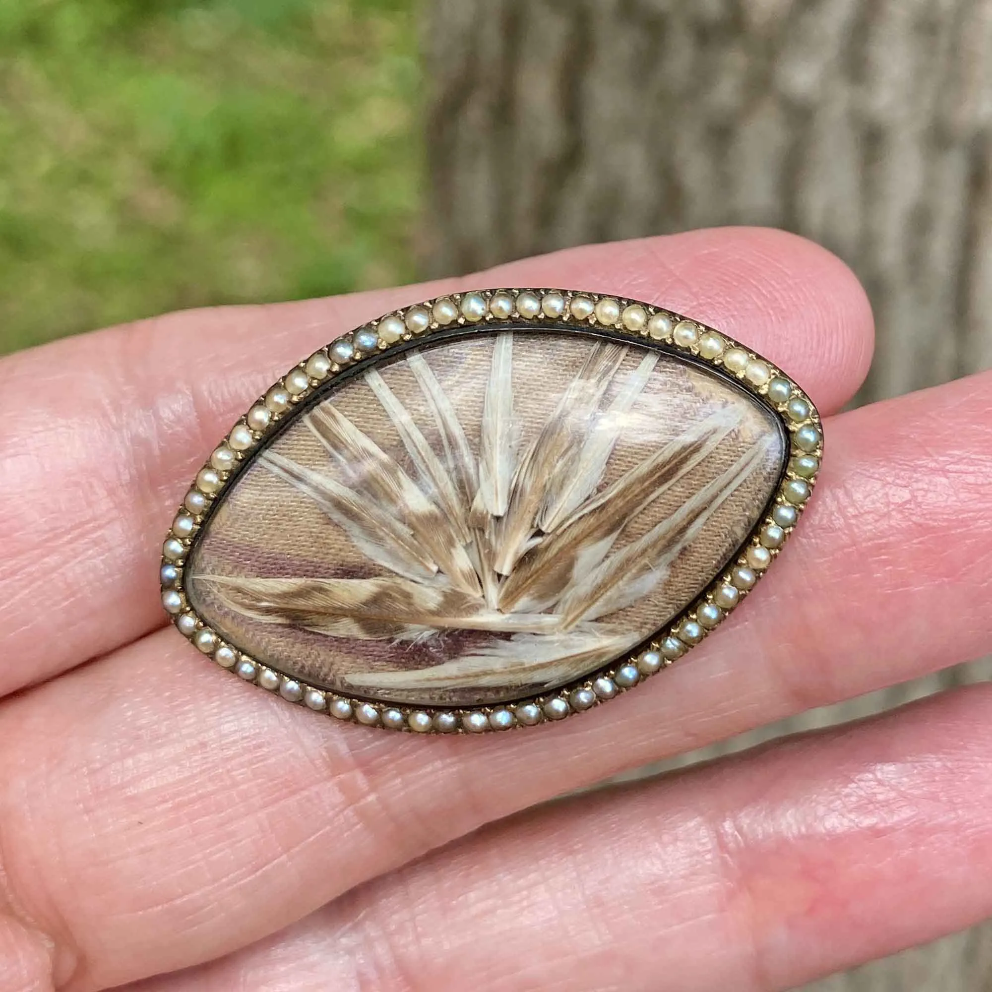 Antique 14K Gold Feather Pearl Eye Brooch Pendant